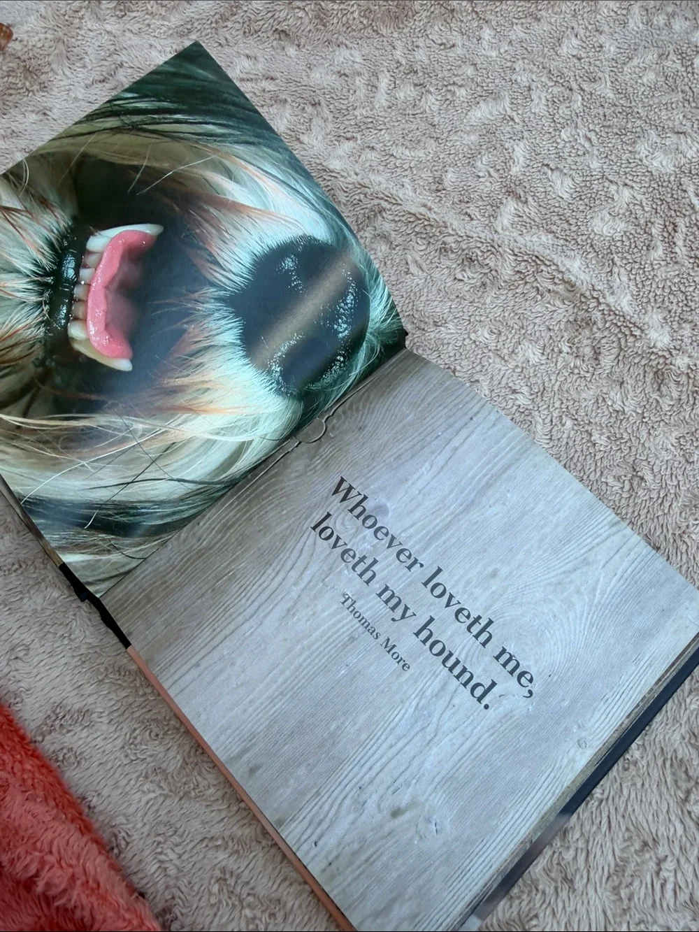 The Dog by Ella Earle 🐶 Black and Brown Hardcover Dog Book